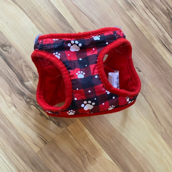 Treat your little fur ball size XS - Picture 14 of 16